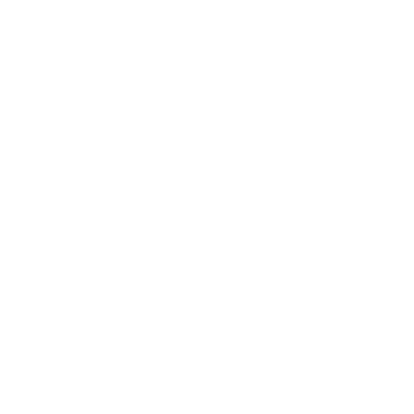 Sally Valley logo